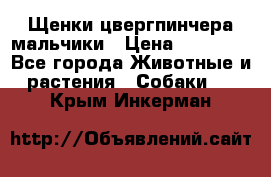 Щенки цвергпинчера мальчики › Цена ­ 25 000 - Все города Животные и растения » Собаки   . Крым,Инкерман